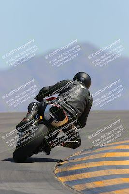 media/Apr-09-2023-SoCal Trackdays (Sun) [[333f347954]]/Turn 12 Backside (1pm)/